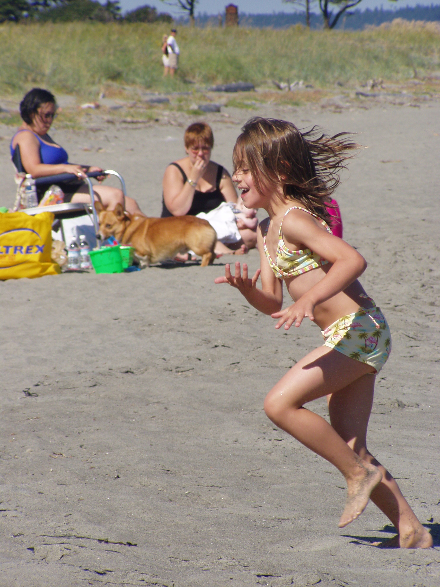 OLYMPUS DIGITAL CAMERA