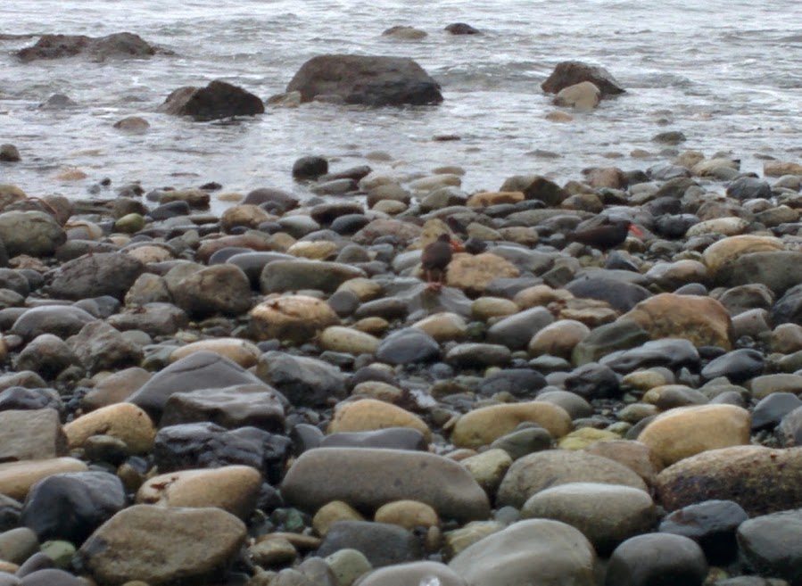 Among rocks | KO Rural Mad As Hell Blog