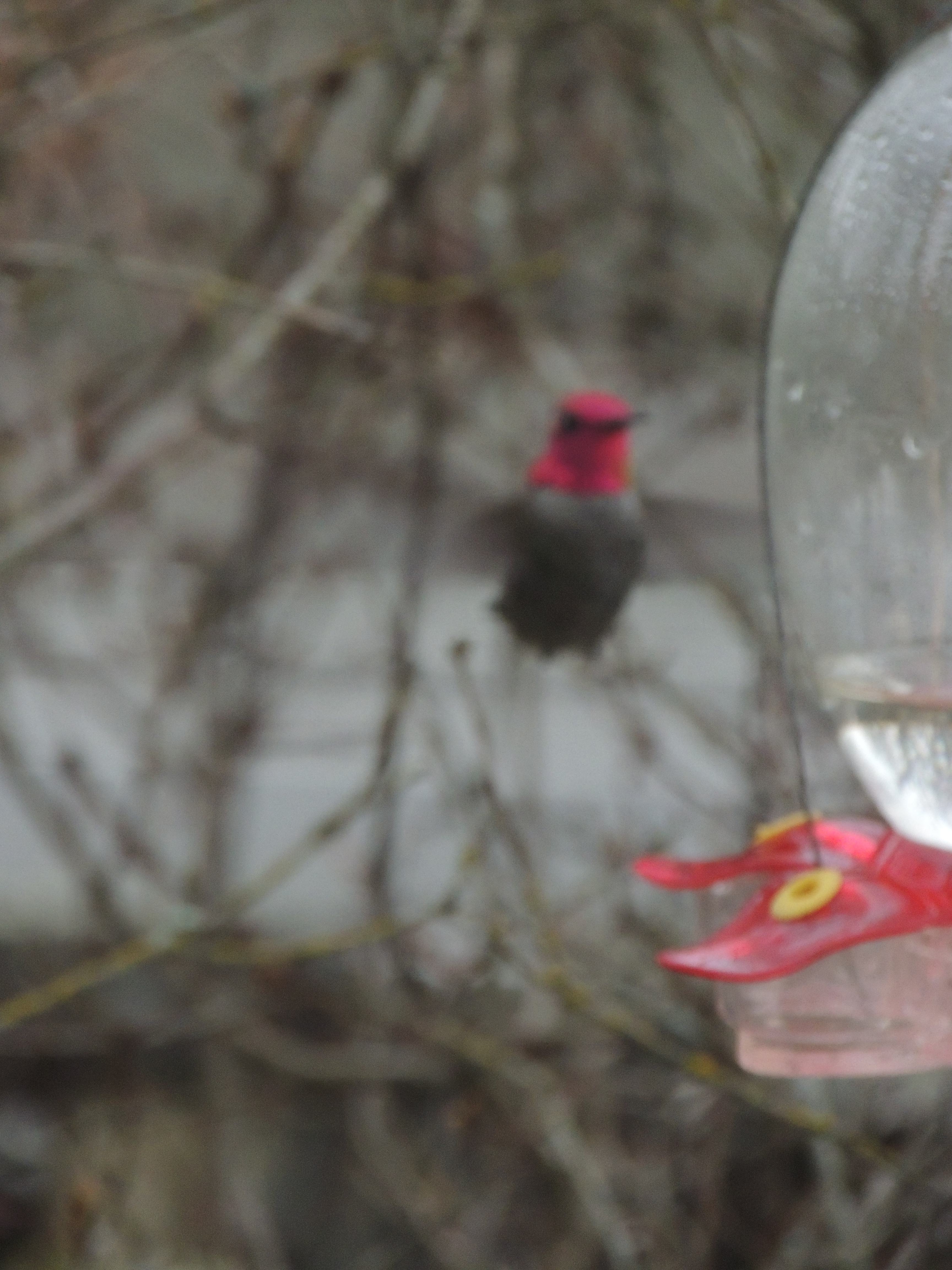 2017-11-24 givethanks 038.JPG