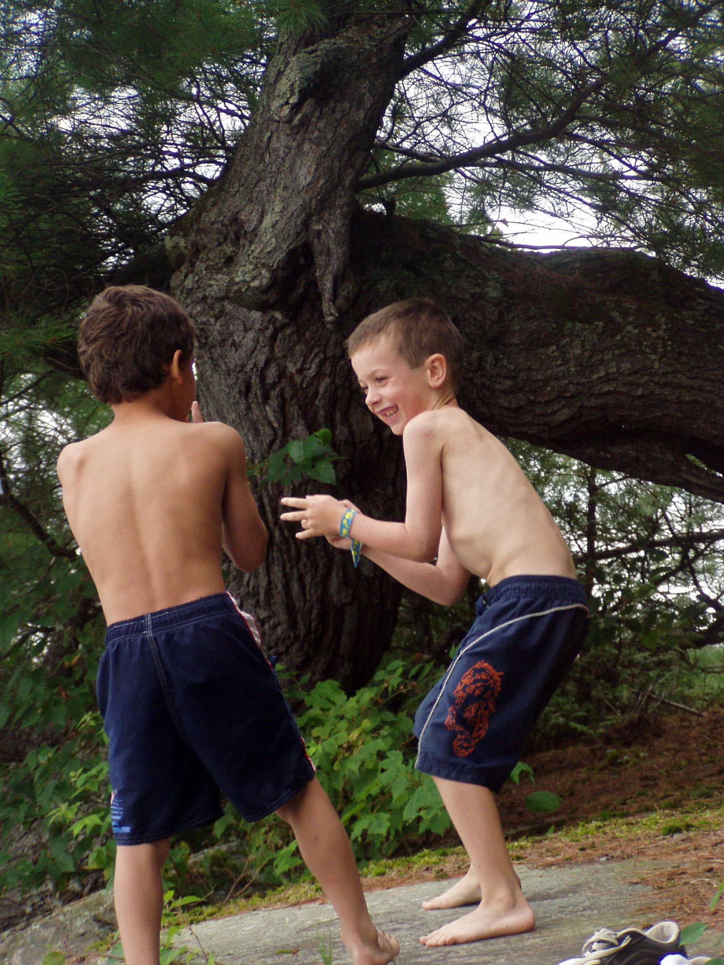 7-806matinena 105.jpg