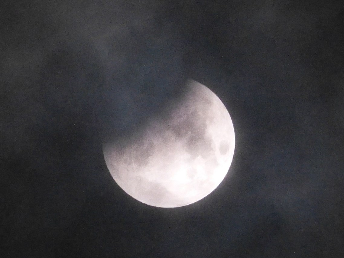 ACTIVE CROP MOON DANCE