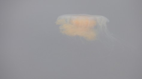 mac to 12017 406.JPG