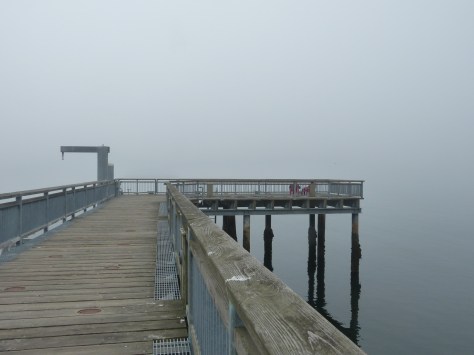 mac to 12017 418.JPG