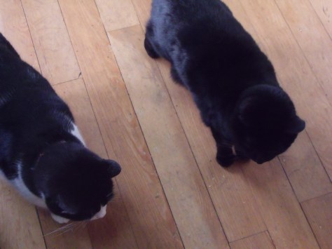 treytoclinic 901.JPG