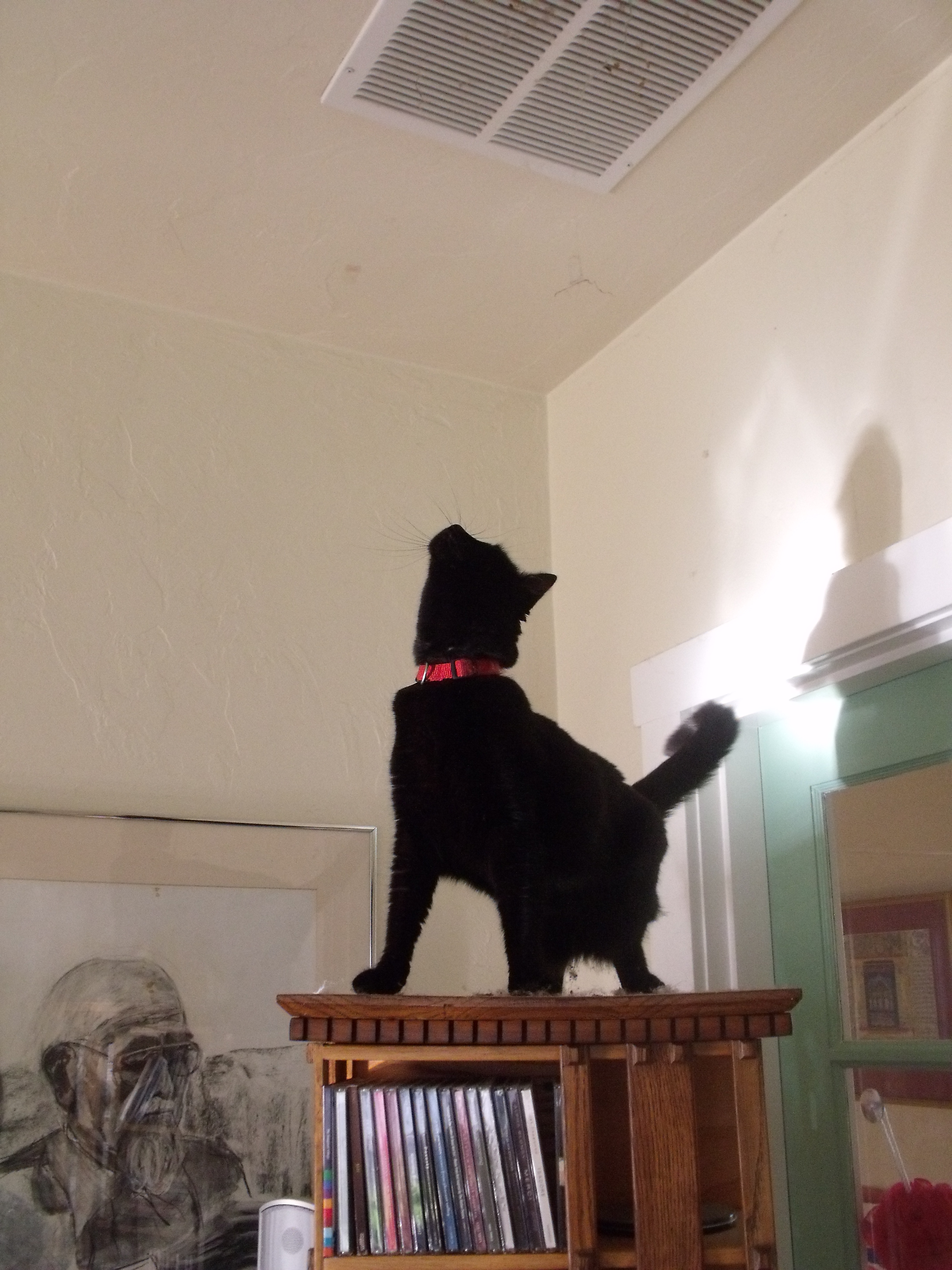 treytoclinic 908.JPG