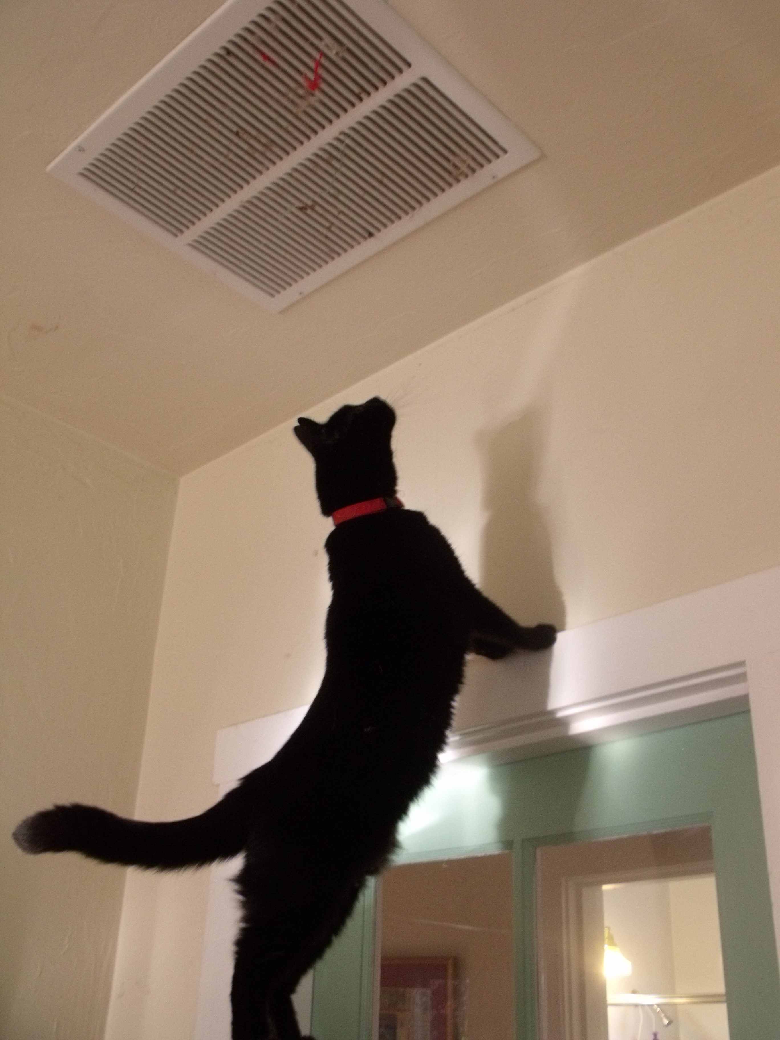 treytoclinic 910.JPG