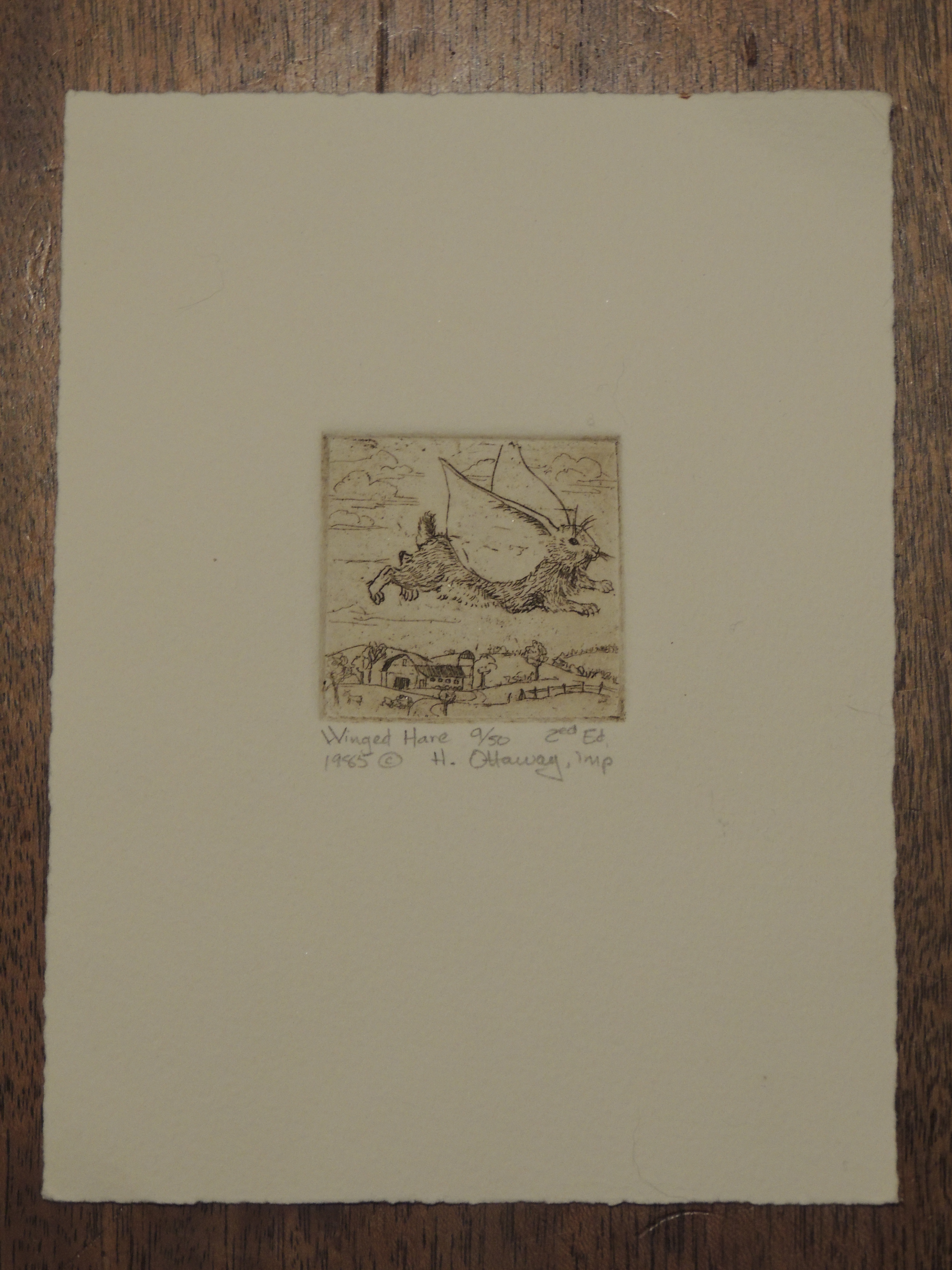 Etching of Winged Hare, by Helen Ottaway