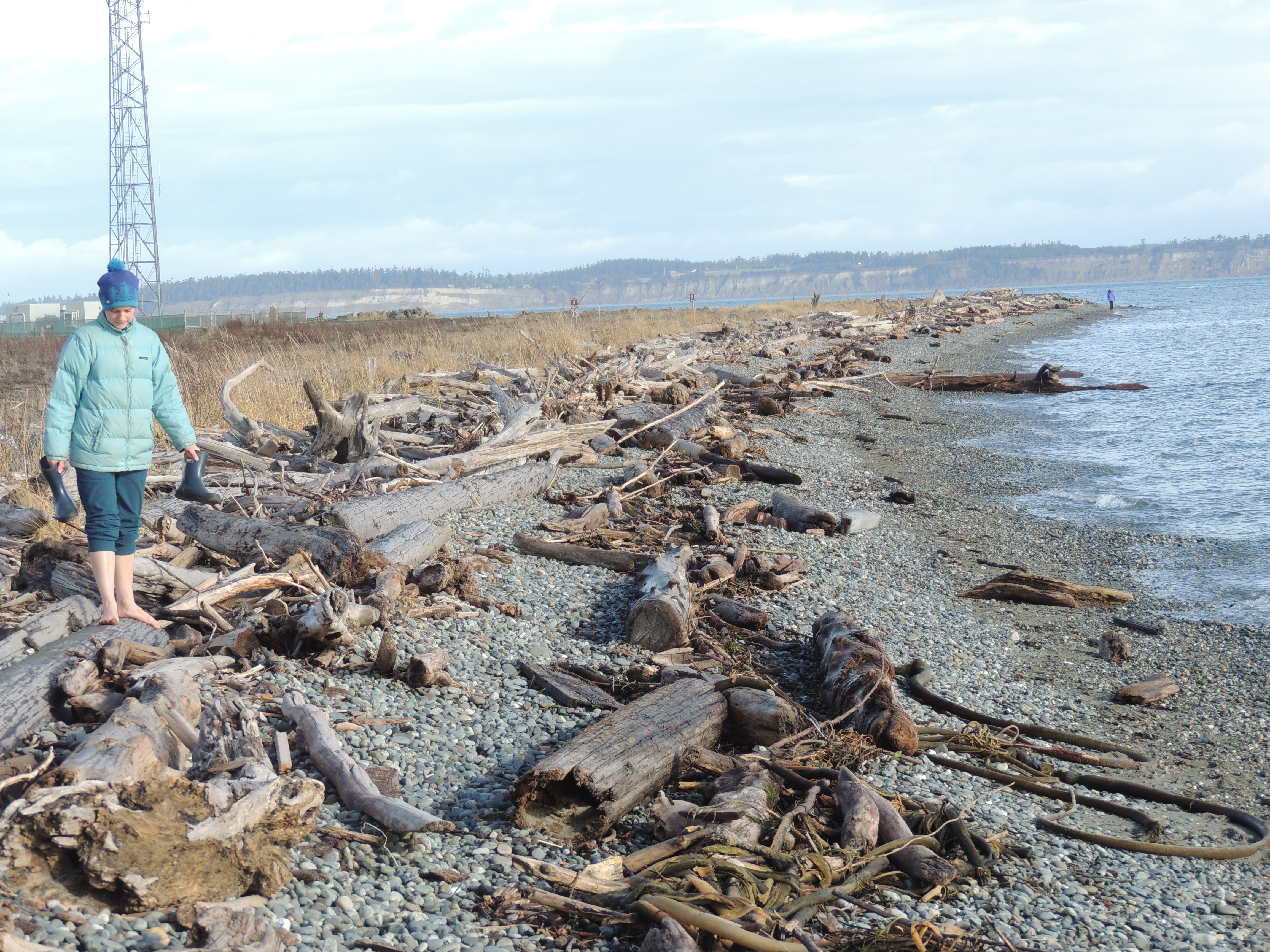 beach with driftwood with barefoot person in down jacket and winter coat, all in shades of blue, gray and turquoise