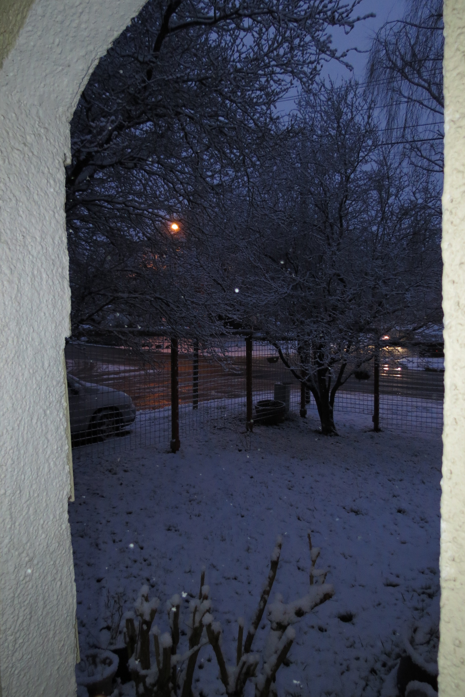 evening light looking through arch at a snow covered yard, all tones of blue.